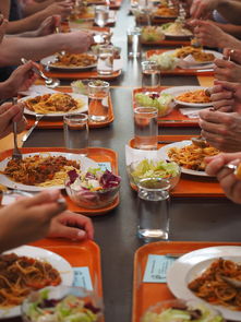 高校运动员膳食营养优化，运动员营养与膳食