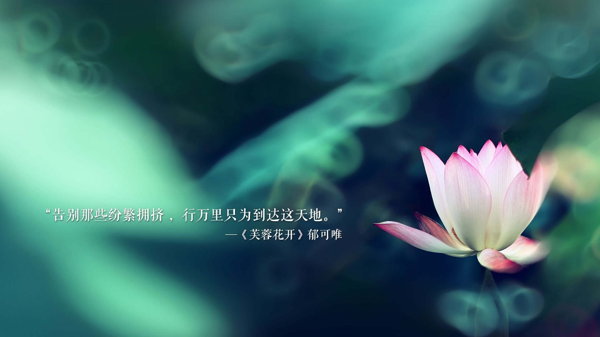 波兰队在国际乒联混合团体世界杯中的战术分析与未来展望，波兰乒乓球著名运动员