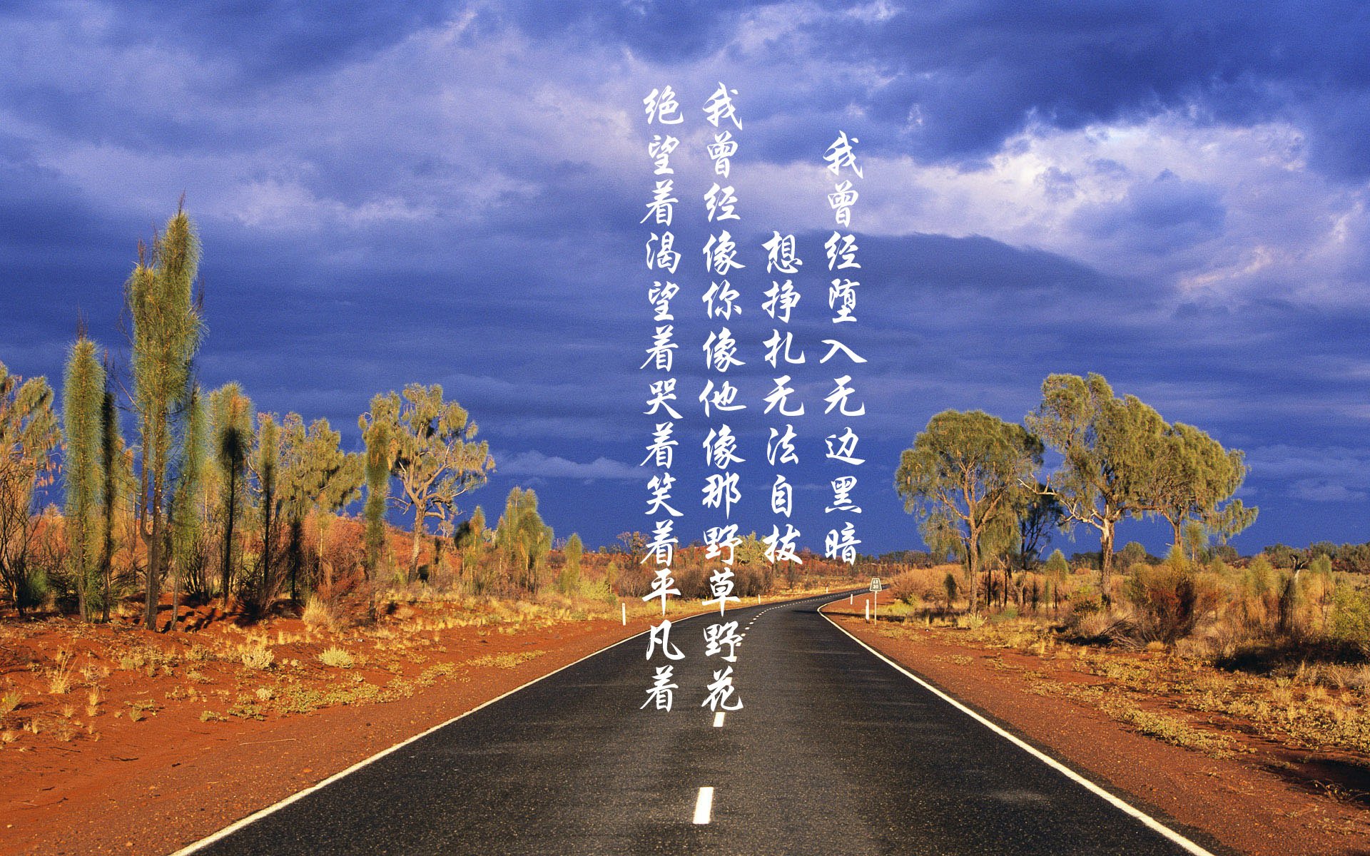 球衣销量排名球迷最爱球星出炉，球员球衣销量排行榜