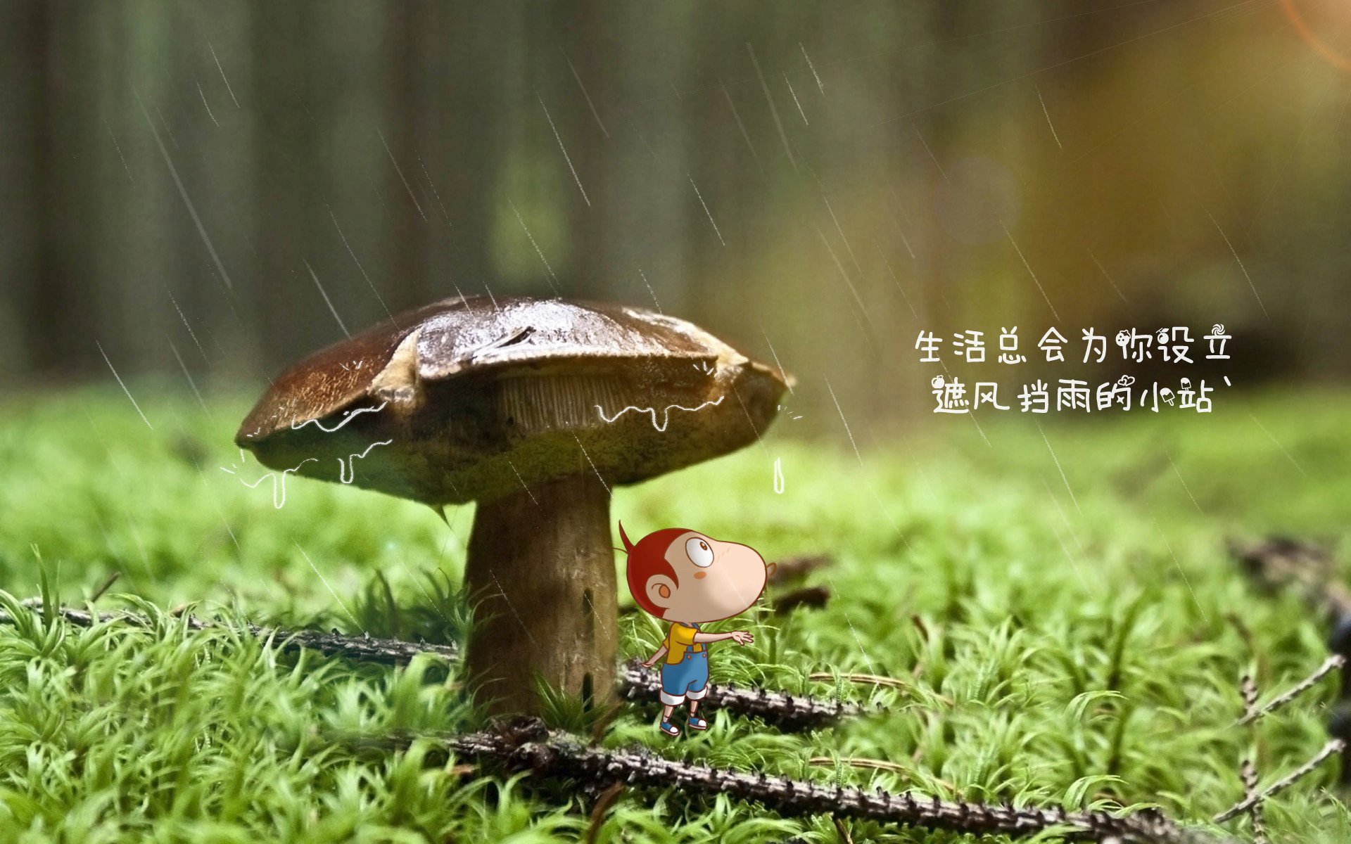 塞尔维亚女篮在欧洲锦标赛中展现强大实力，争冠军牌，塞尔维亚女篮奥运表现