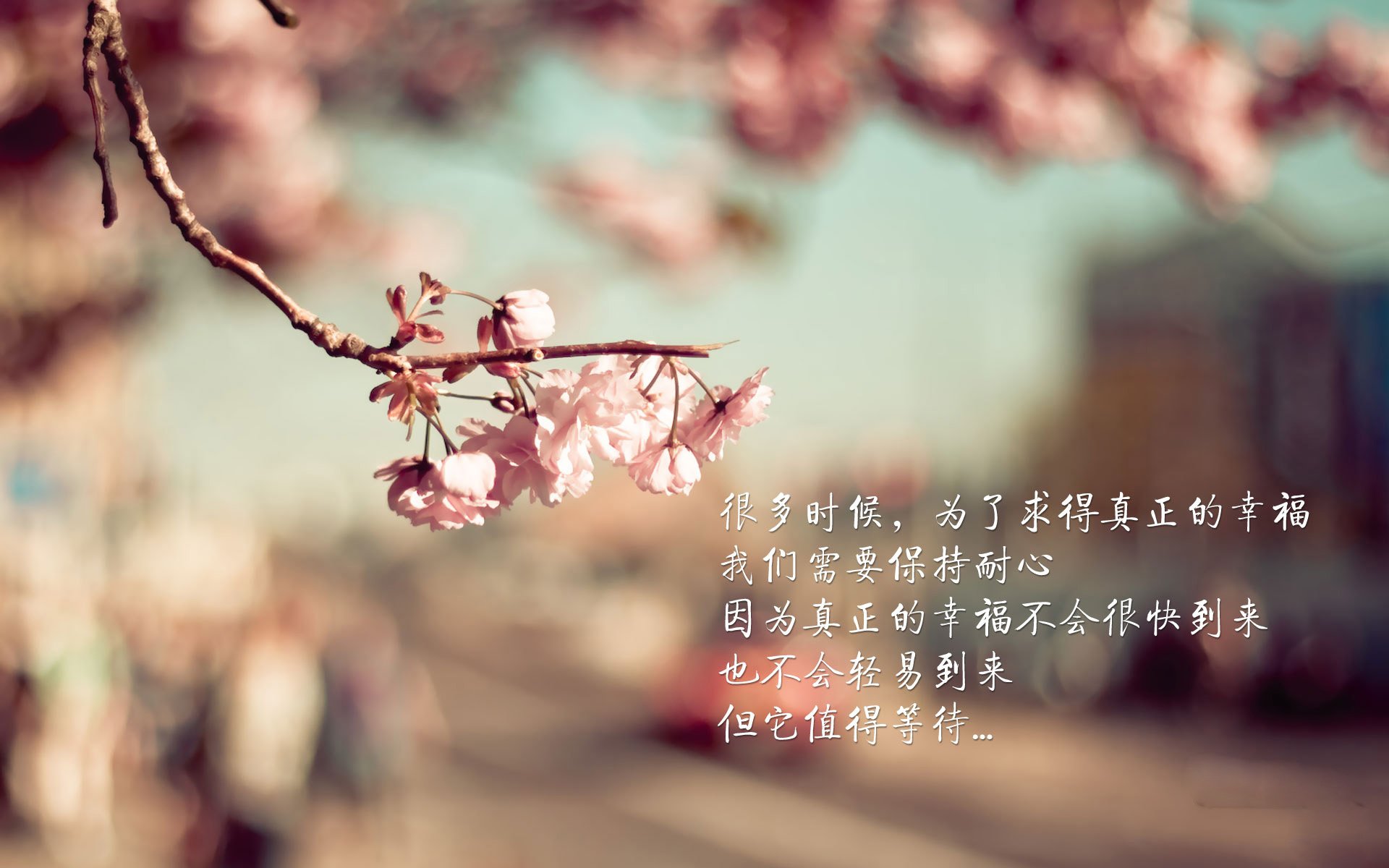 格鲁吉亚女篮在欧洲锦标赛中亮相，领跑精彩新版图，格鲁吉亚赛程