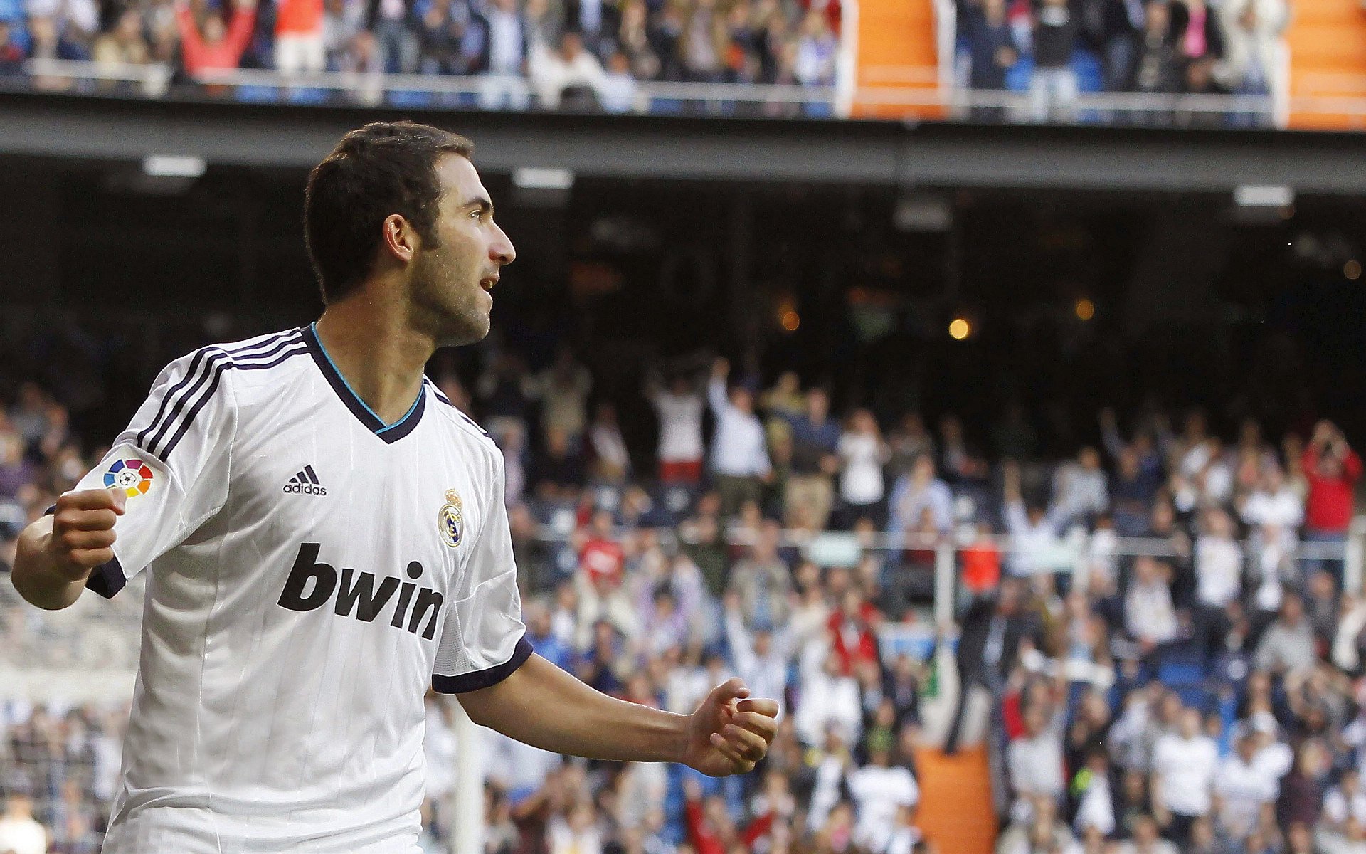 特色足球文化节续写行业新画卷，弘扬体育精神，激发青少年热情