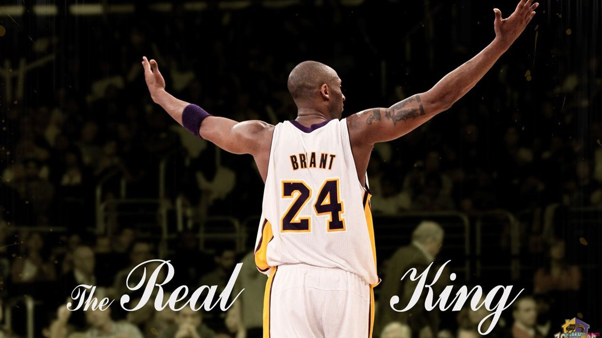 篮球赛事多平台直播互动体验提升,篮球直播平台有哪些